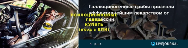 эйфоретик Арсеньев
