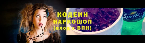 эйфоретик Арсеньев