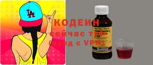 эйфоретик Арсеньев