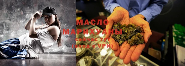 гидра Заводоуковск