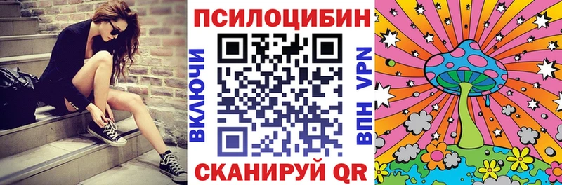 ОМГ ОМГ рабочий сайт  Ряжск  Псилоцибиновые грибы Psilocybine cubensis 